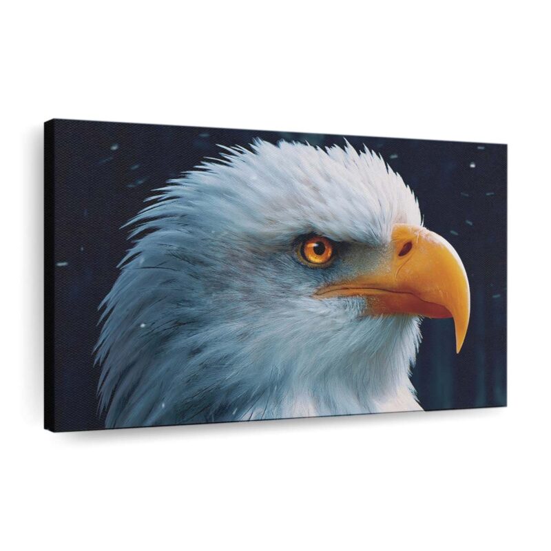 bald eagle closeup 4k wallpaper in 3840x2160 resolution