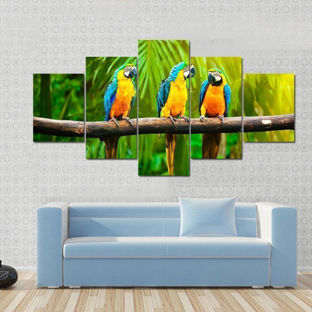 Blue And Gold Macaw Animal Leinwandbilder Kunstdrucke Rahmen