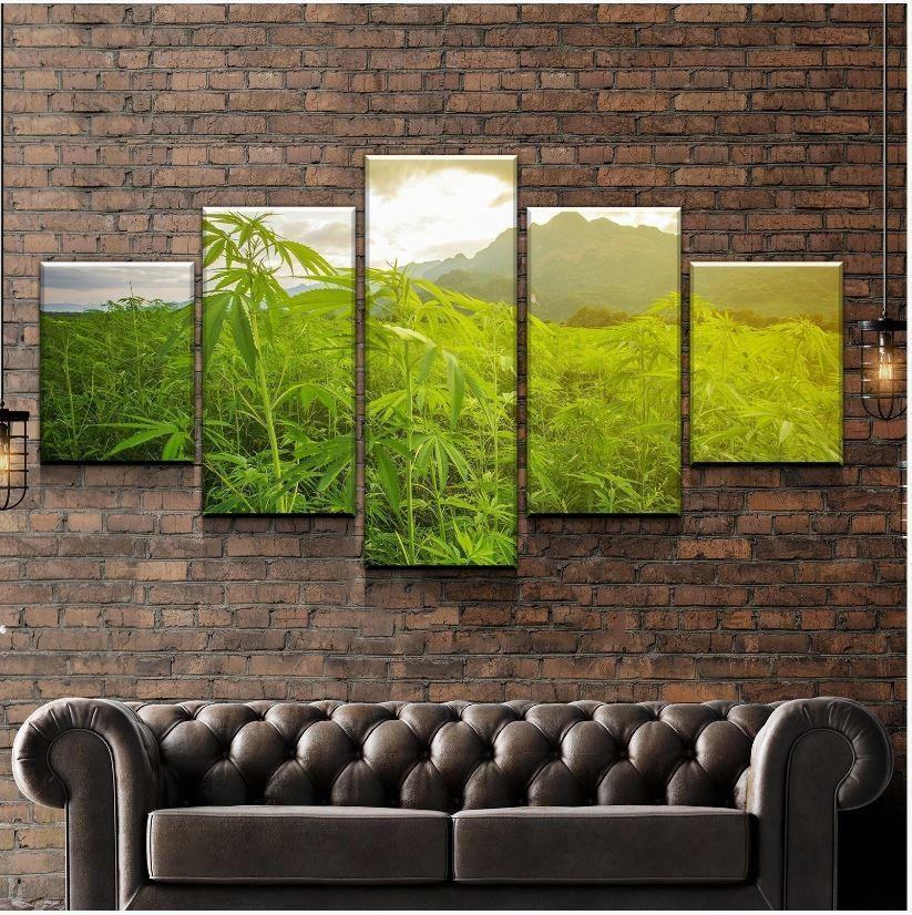 Cannabisfelder Leinwandbilder Kunstdrucke Rahmen