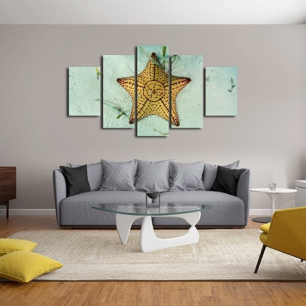 Der Seestern Leinwandbilder Kunstdrucke Rahmen