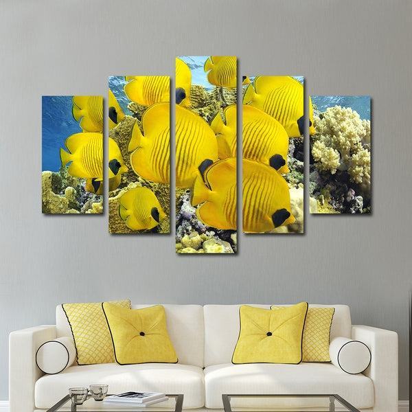 Falterfisch Leinwandbilder Kunstdrucke Rahmen