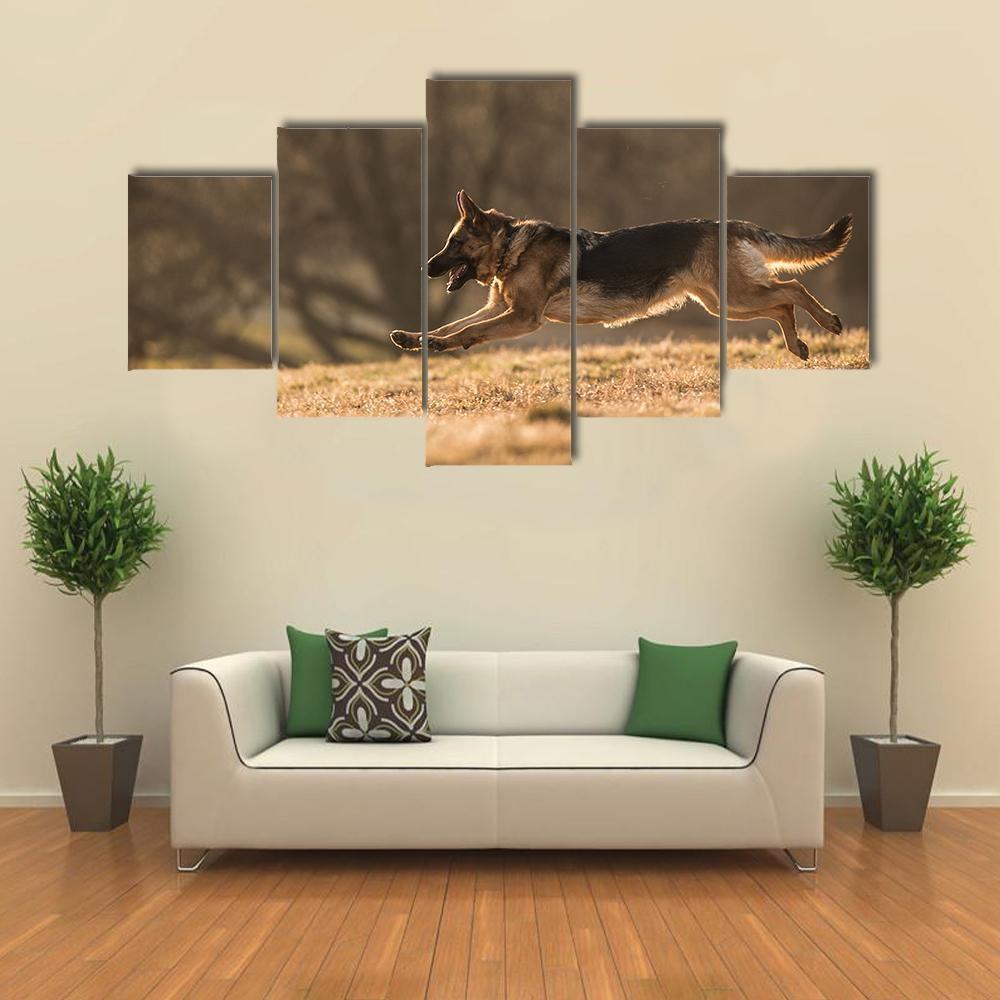 German Shepherd Dog Animal Leinwandbilder Kunstdrucke  