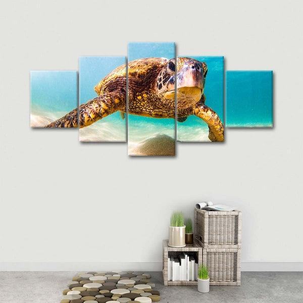 Hawaiianische Schildkrte Leinwandbilder Kunstdrucke Rahmen