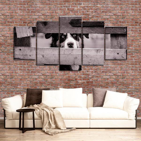 Hund Blick Leinwandbilder Kunstdrucke Rahmen