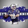 indianapolis colts peyton manning – sportliche leinwandbilder für fans 8408