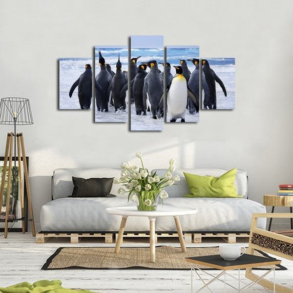 Knigspinguin Leinwandbilder Kunstdrucke Rahmen