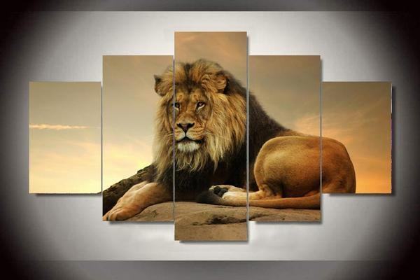 Lion At Sunset Sunrise Animal Leinwandbilder Kunstdrucke  