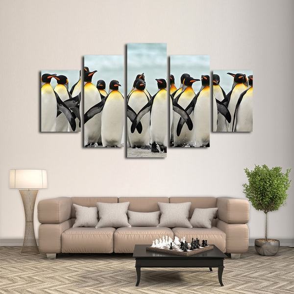 Pinguine Leinwandbilder Kunstdrucke Rahmen