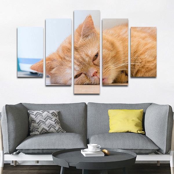 Schlafende Katze Leinwandbilder Kunstdrucke Rahmen