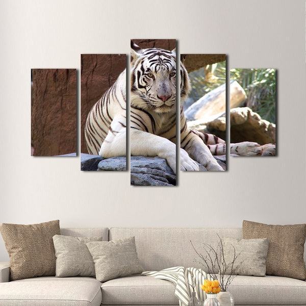 Weier Tiger Leinwandbilder Kunstdrucke Rahmen