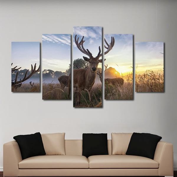 White Tail Verfolgen Leinwandbilder Kunstdrucke Rahmen