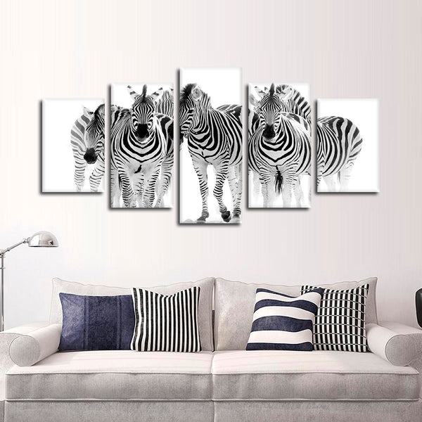 Zebra Sieht Aus Leinwandbilder Kunstdrucke Rahmen