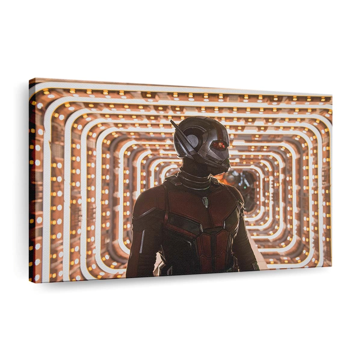 Ant Man und die Wespe Film 5 Leinwandbild – Marvel Wandbild & Wanddeko