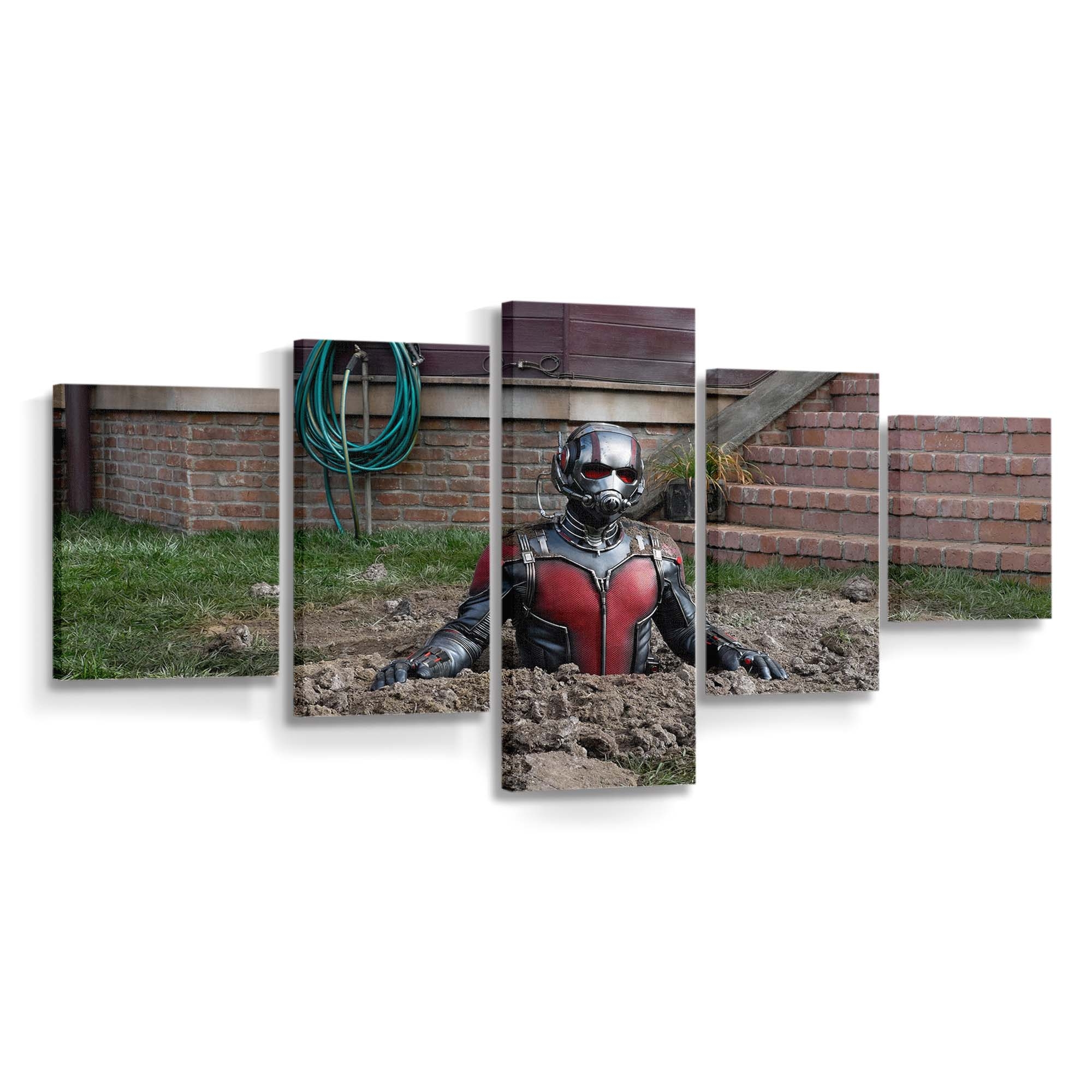 Ant Man und die Wespe 3 Leinwandbild – Marvel Wandbild & Wanddeko