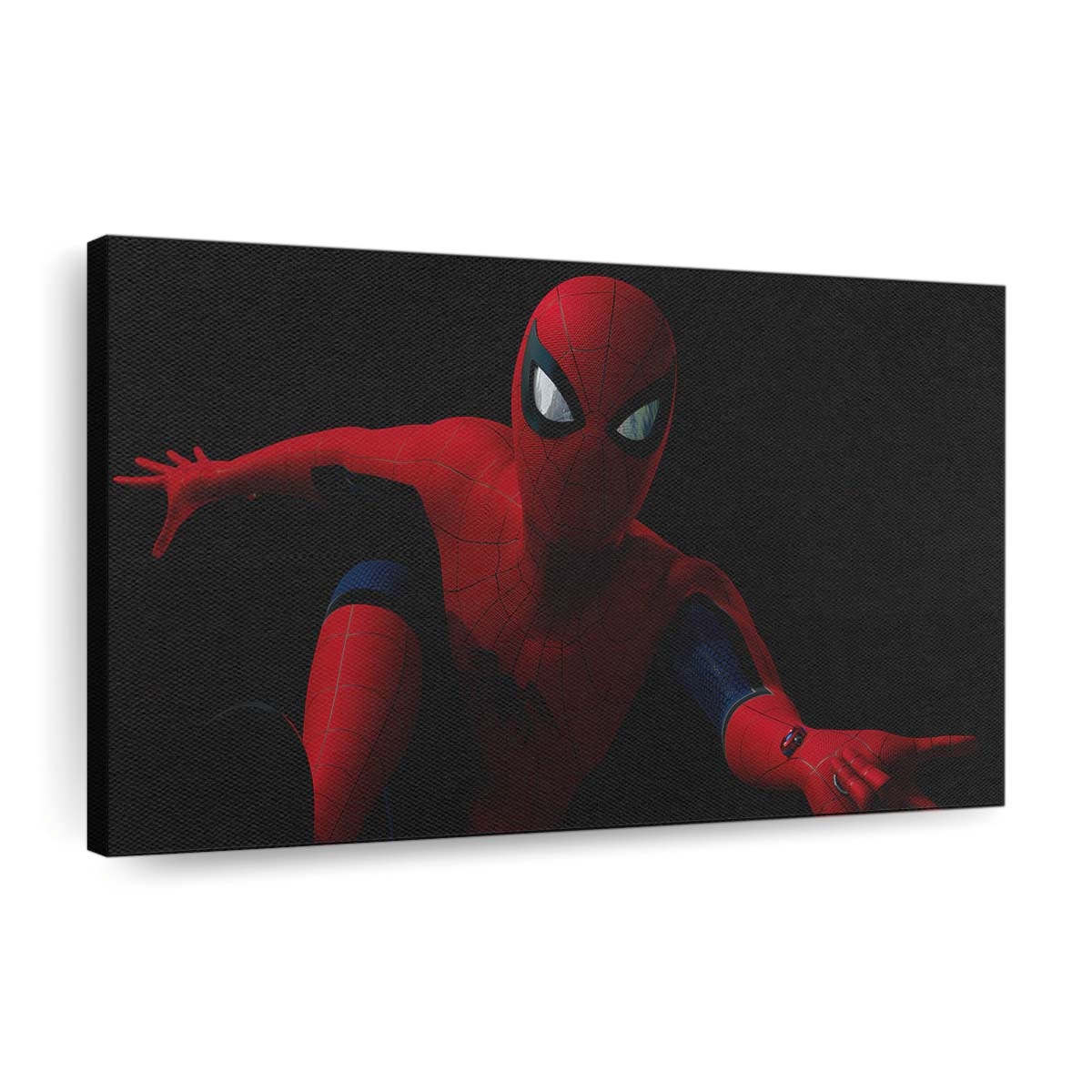 Cgi Spider Man Leinwandbild - Wanddeko