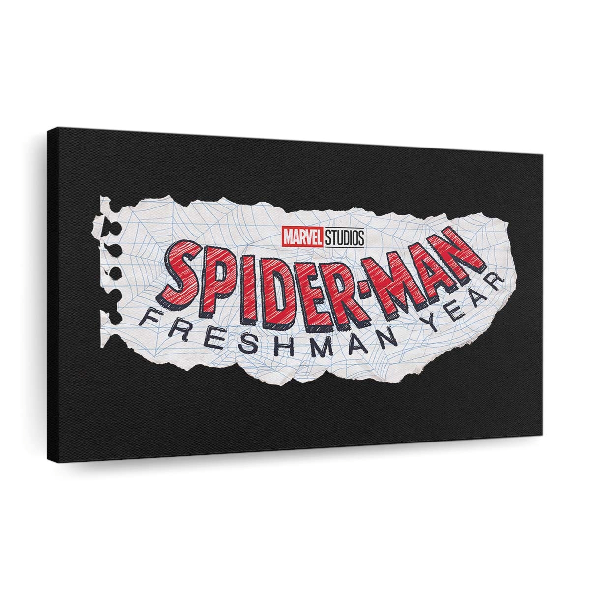 Spider Man Freshman Year Leinwandbild - Wanddeko