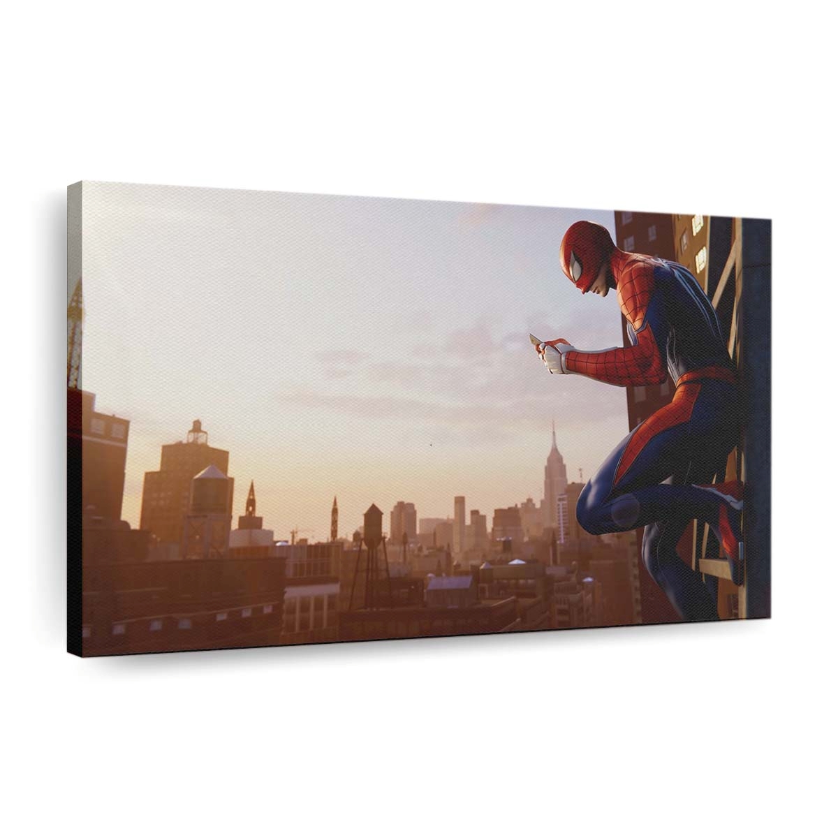Spider Man Pro 5 Leinwandbild - Wanddeko