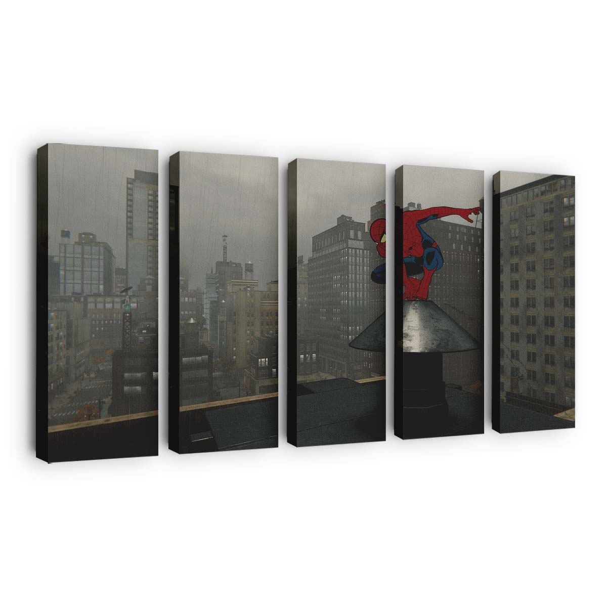 Spider Leinwandbild - Wanddeko