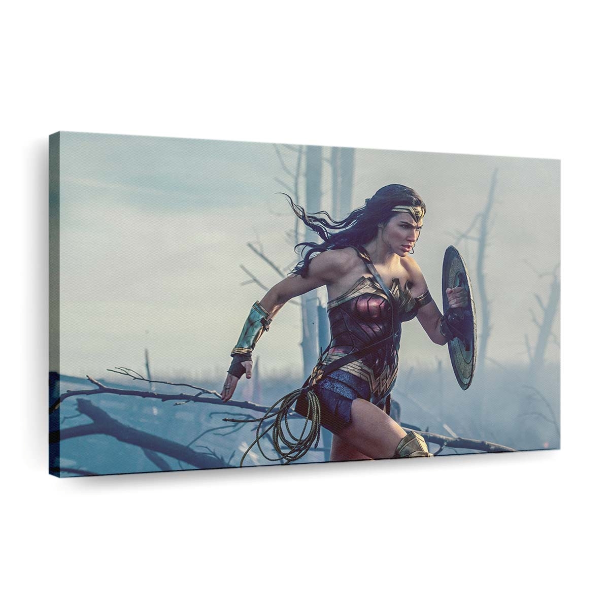 2017 Wonder Woman Leinwandbilder | Wanddeko