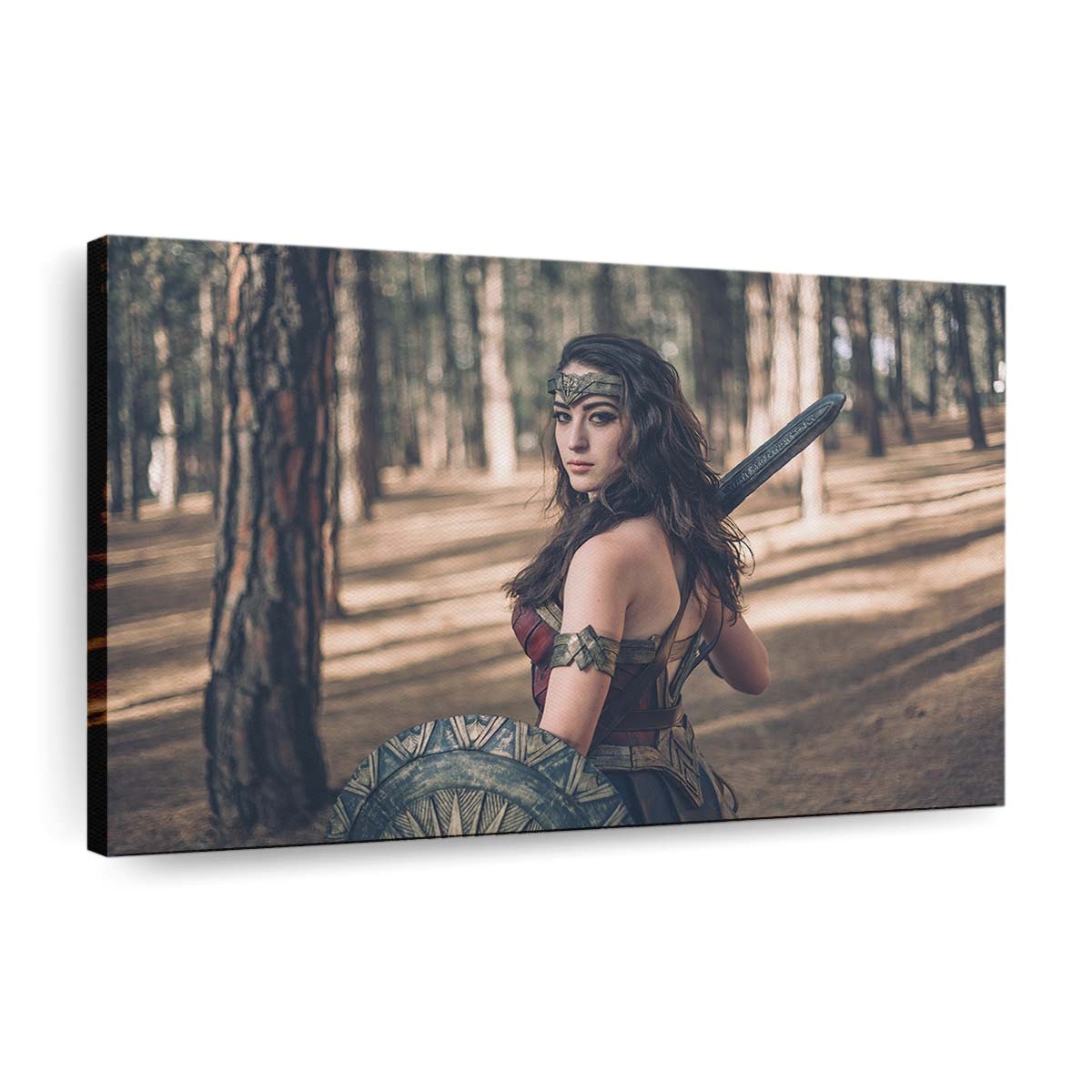 2020 Wonder Woman Cosplay 2 Leinwandbilder | Wanddeko