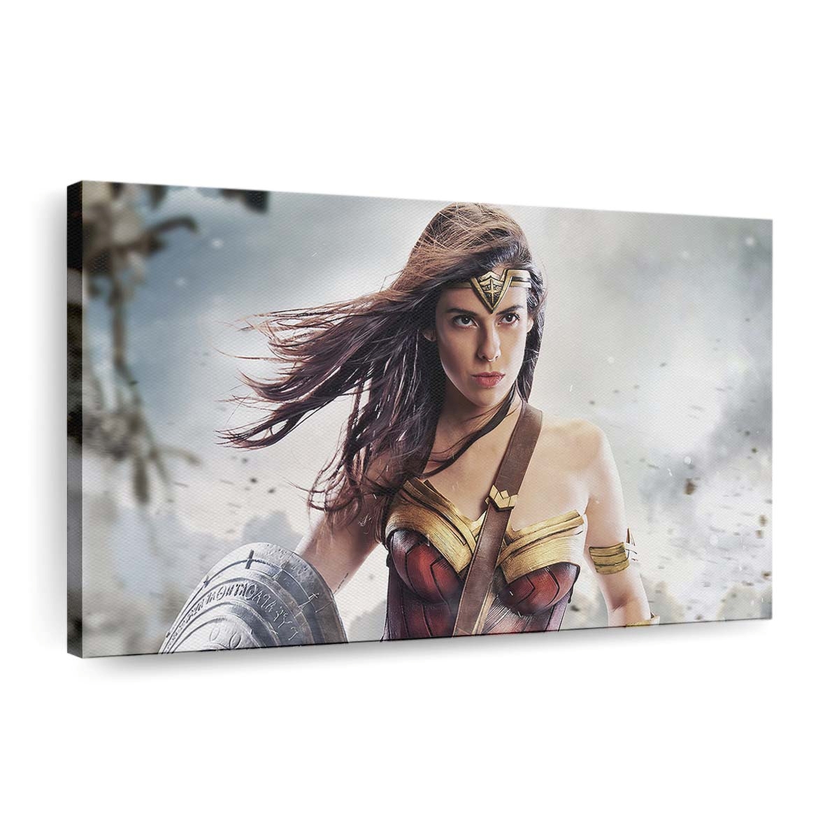 2022 Wonder Woman Cosplay Leinwandbilder | Wanddeko