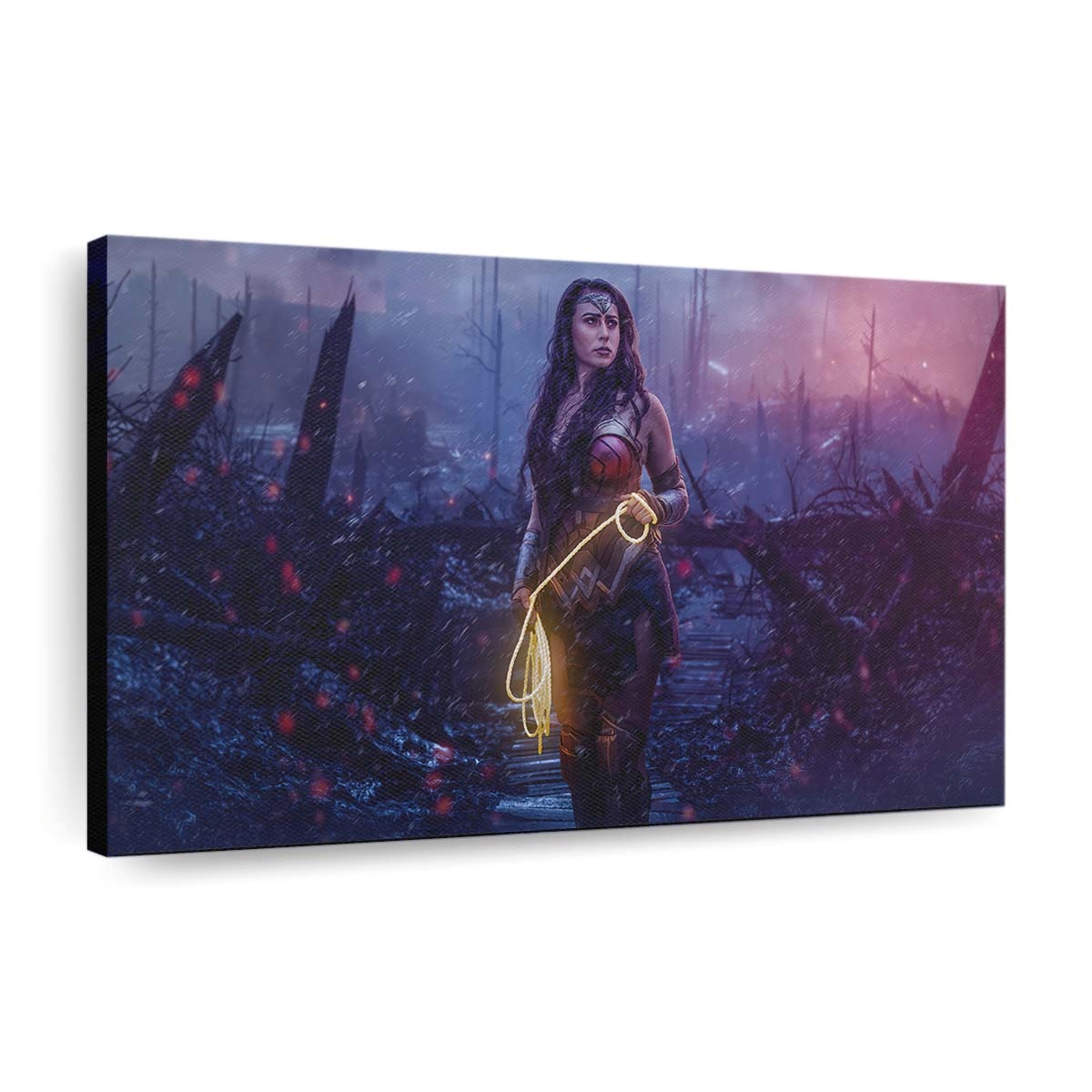 Dianas Struggle Leinwandbilder | Wanddeko