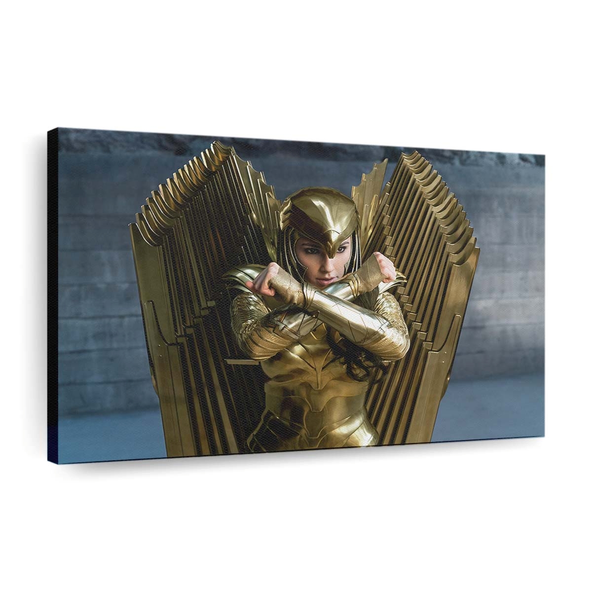 Wonder Woman 1984 2 Leinwandbilder | Wanddeko