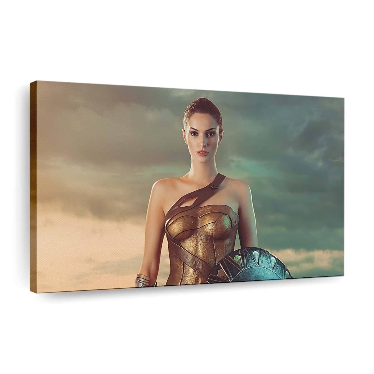 Wonder Woman 1984 Cosplay Girl Leinwandbilder | Wanddeko