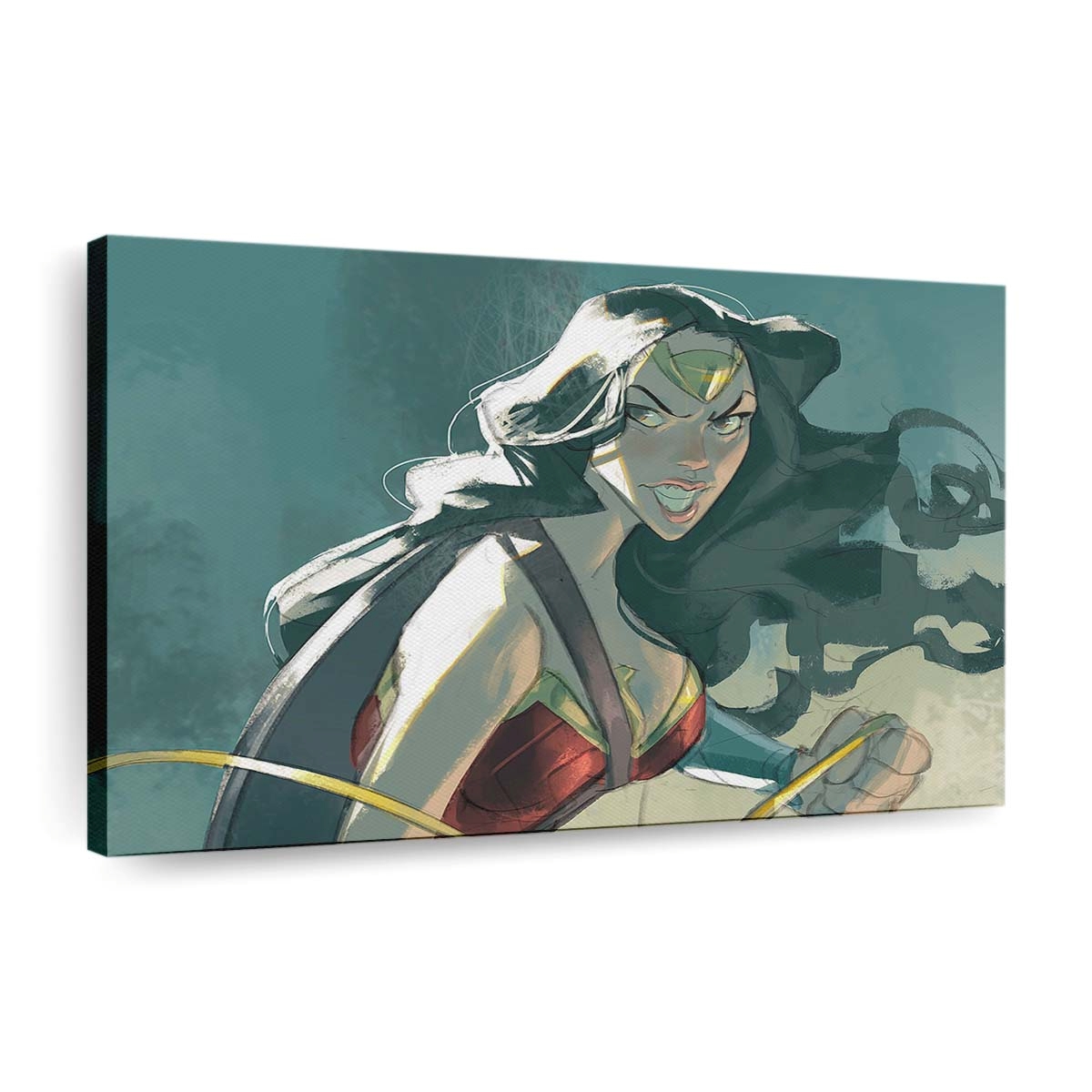 wonder woman 5k artwork le