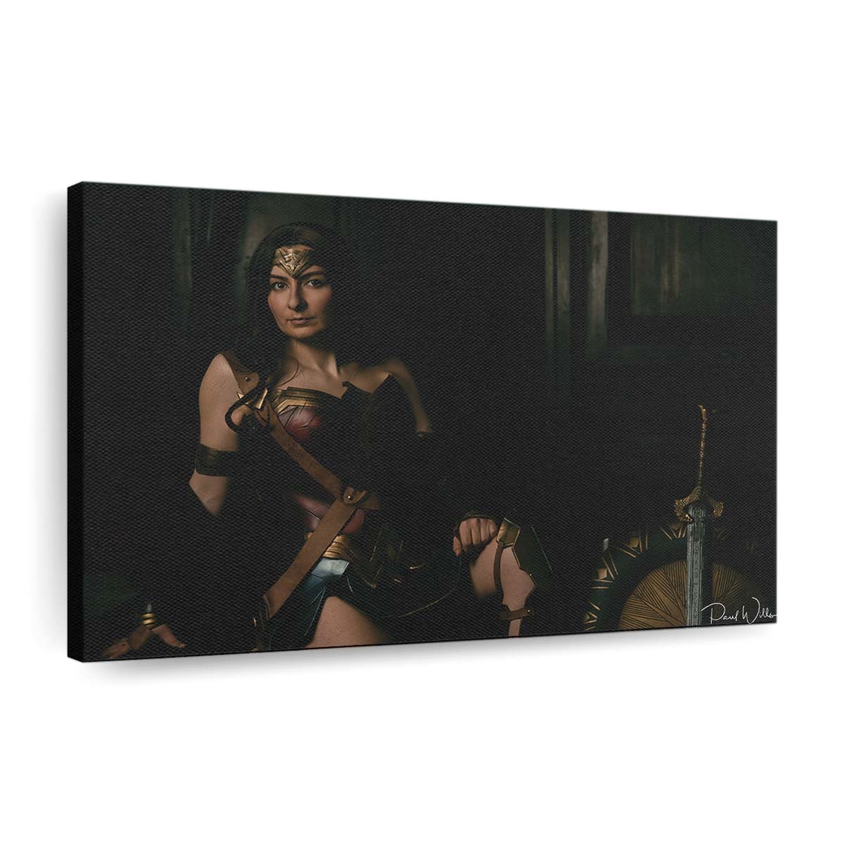 Wonder Woman Cosplay 3 Leinwandbilder | Wanddeko