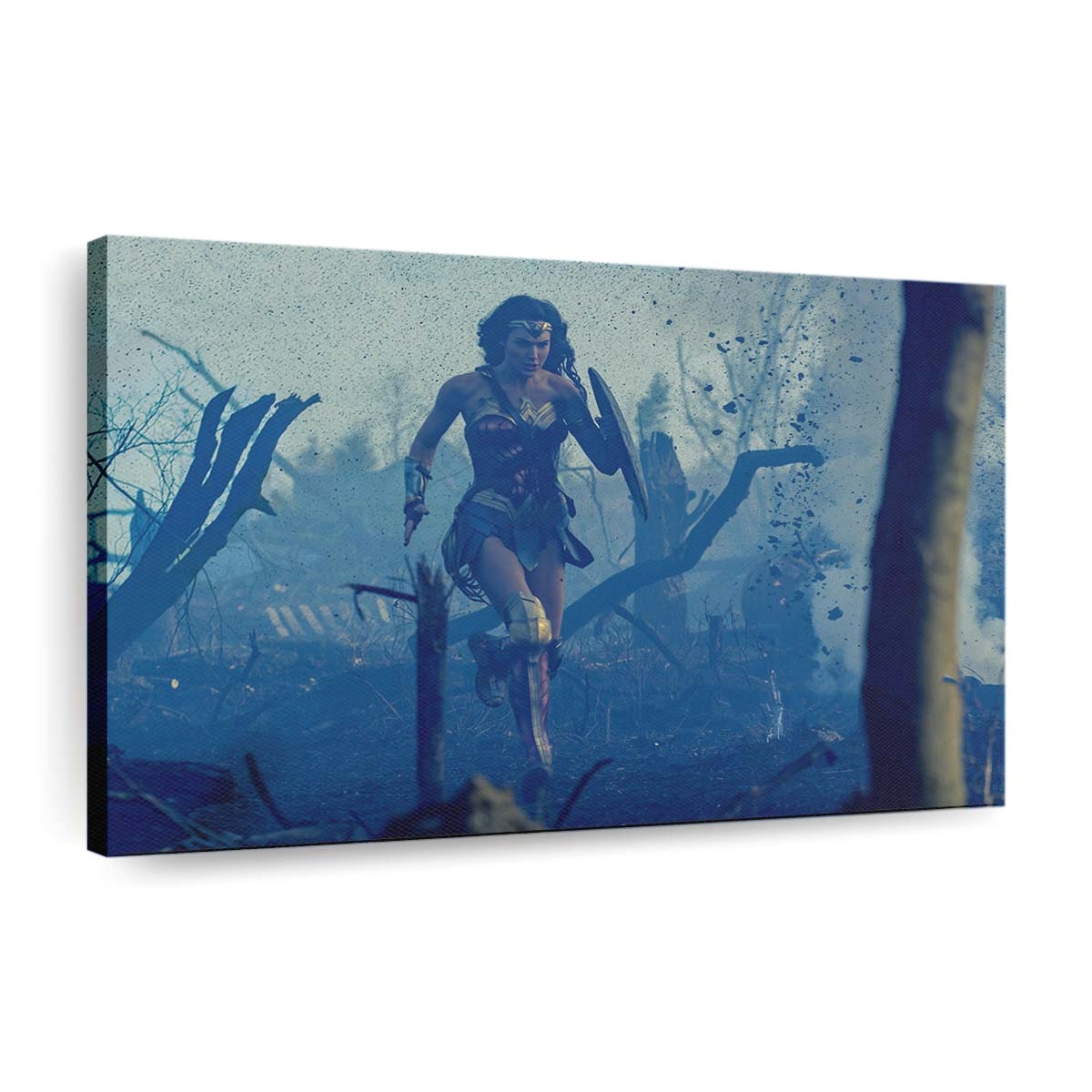 Wonder Woman 8 Leinwandbilder | Wanddeko