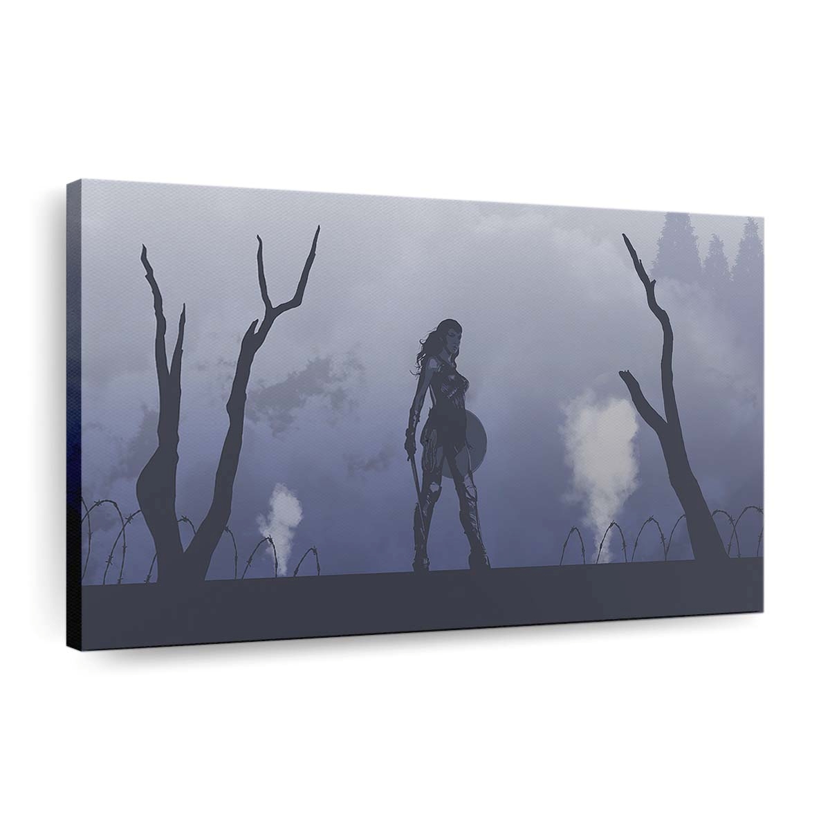 Wonder Woman 1984 2 Leinwandbilder | Wanddeko