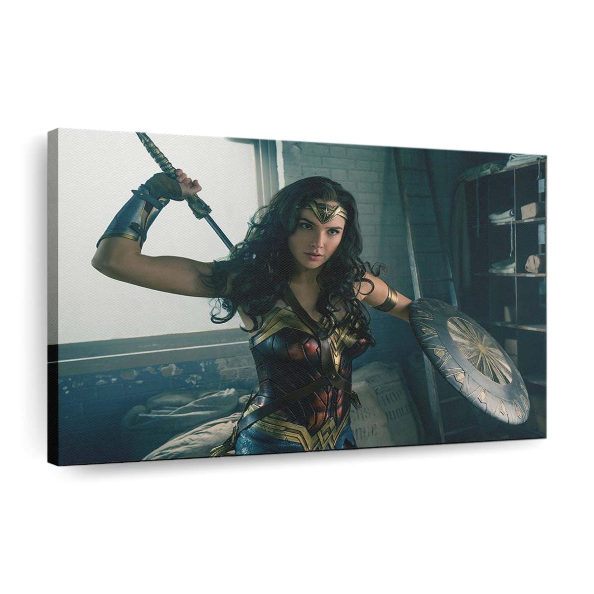 Wonder Woman 9 Leinwandbilder | Wanddeko