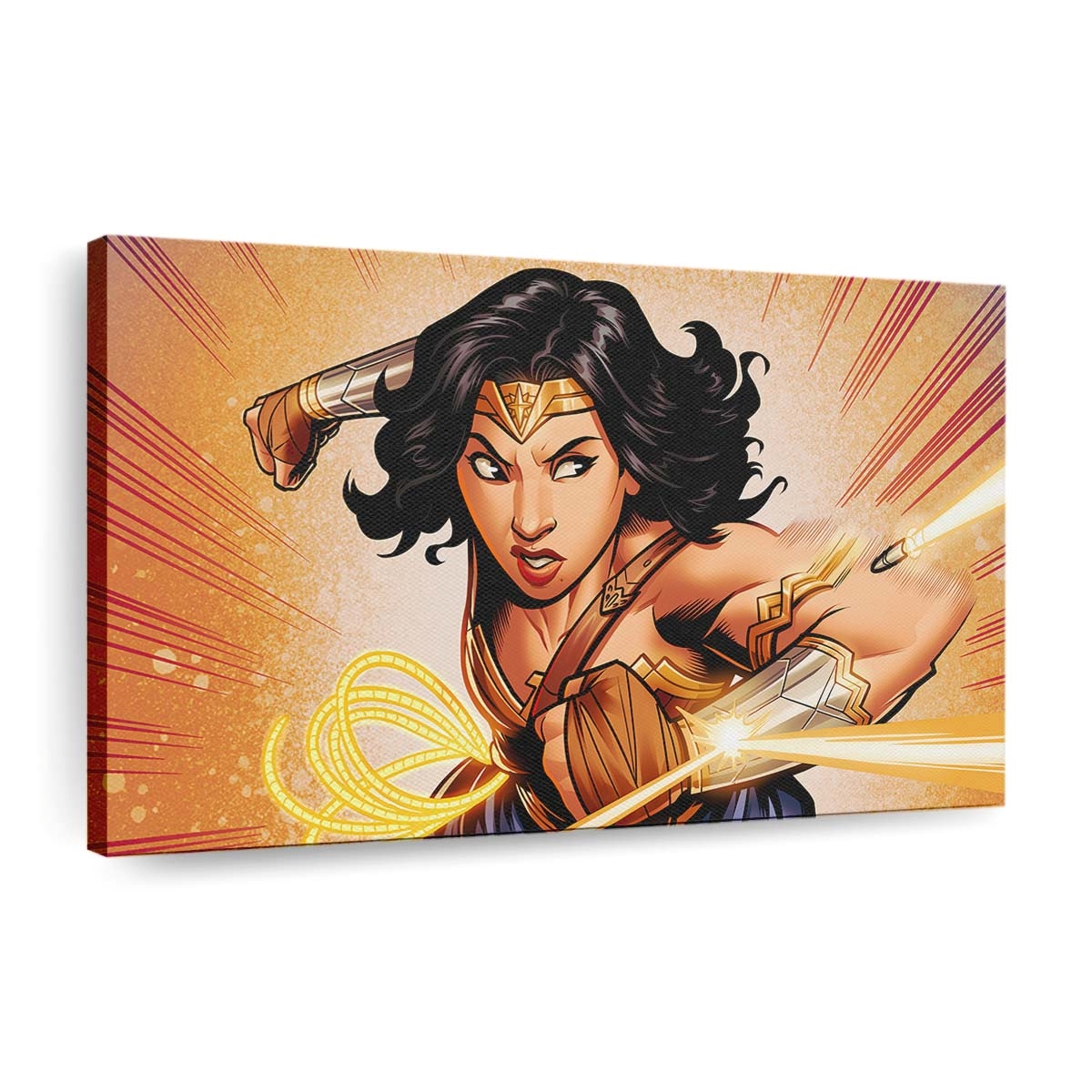 Wonder Woman Character Leinwandbilder | Wanddeko