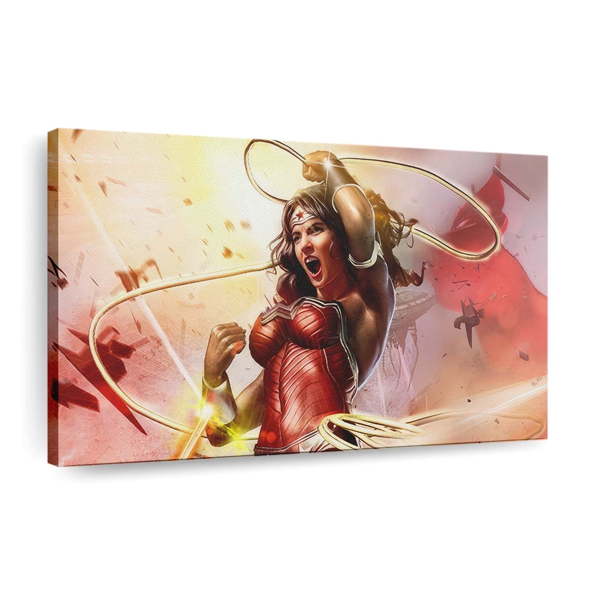 Wonder Woman Fighter 2 Leinwandbilder | Wanddeko