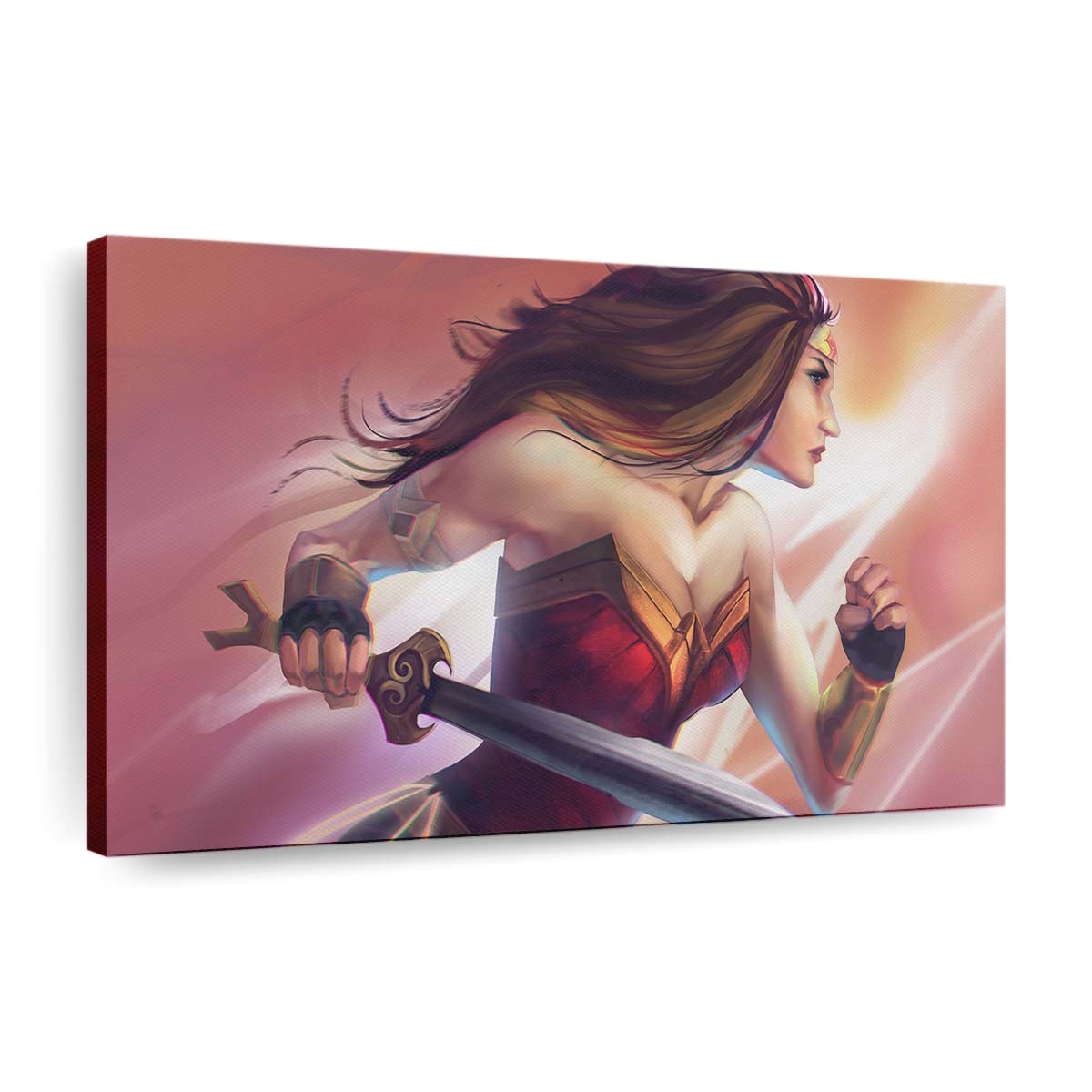 Wonder Woman Paint Art 5 Leinwandbilder | Wanddeko