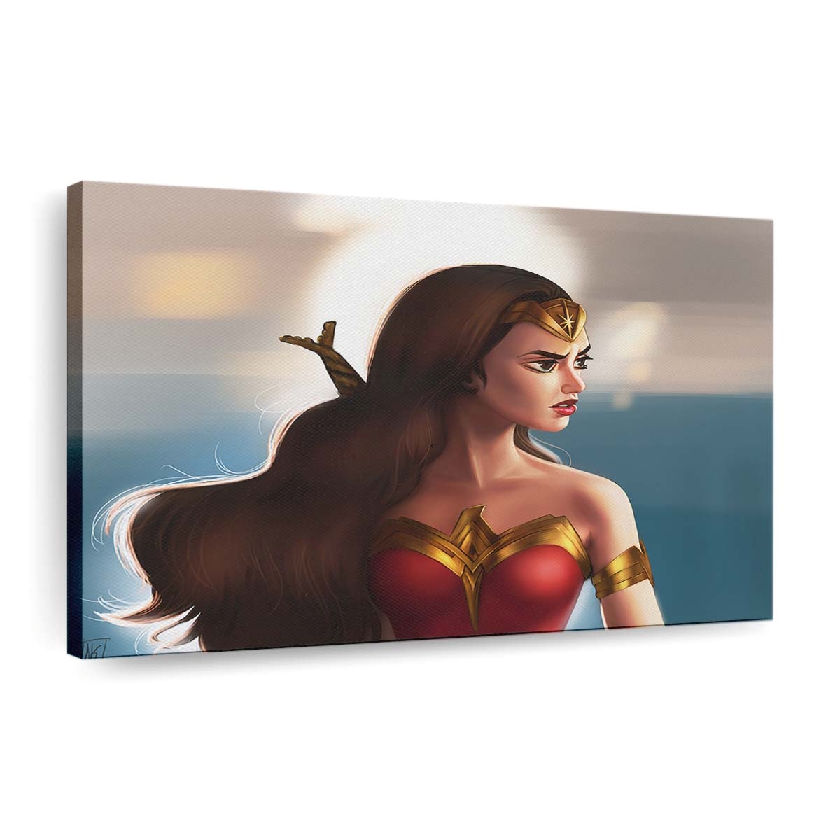 Wonder Womannew 2 Leinwandbilder | Wanddeko