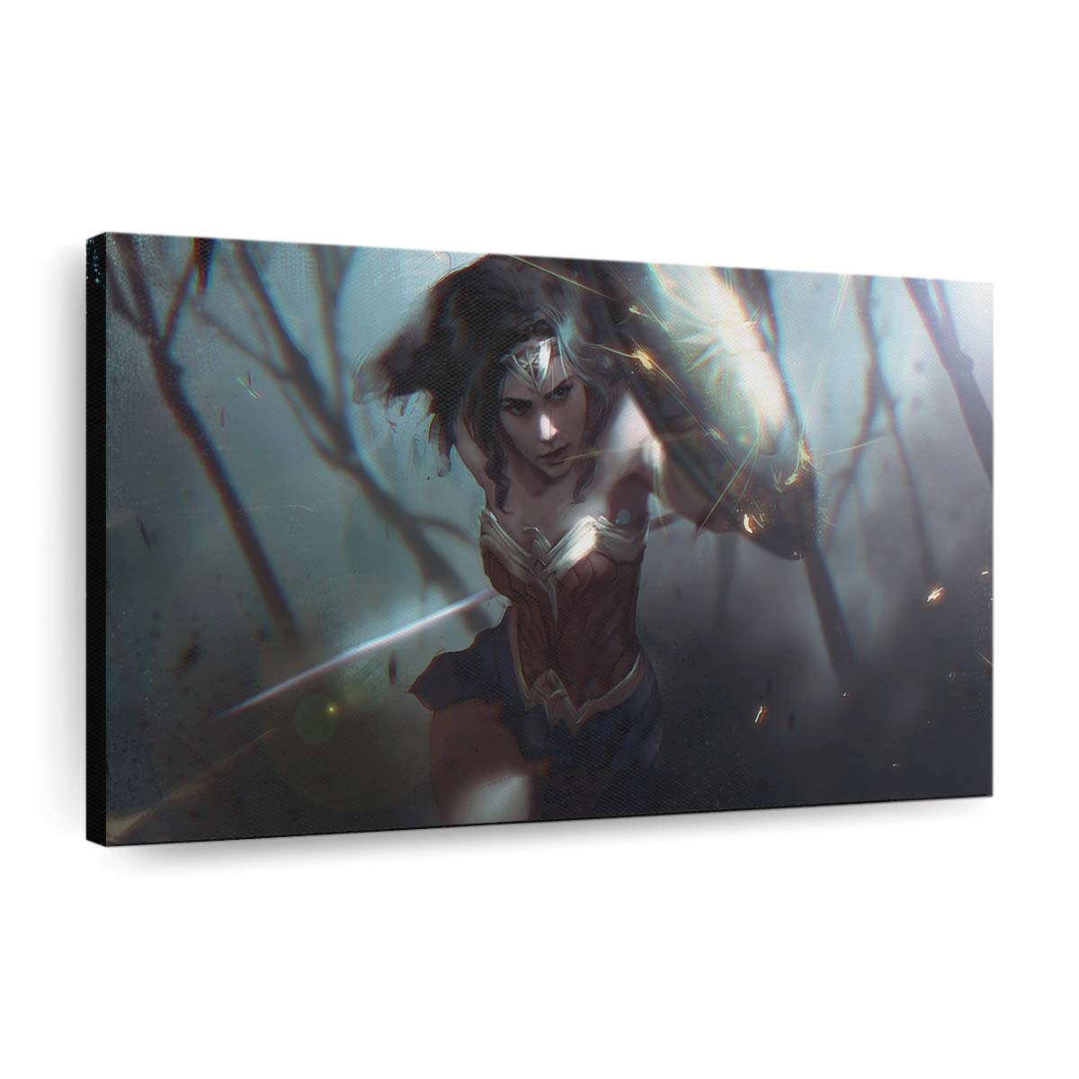 Wonder Womanshield Leinwandbilder | Wanddeko