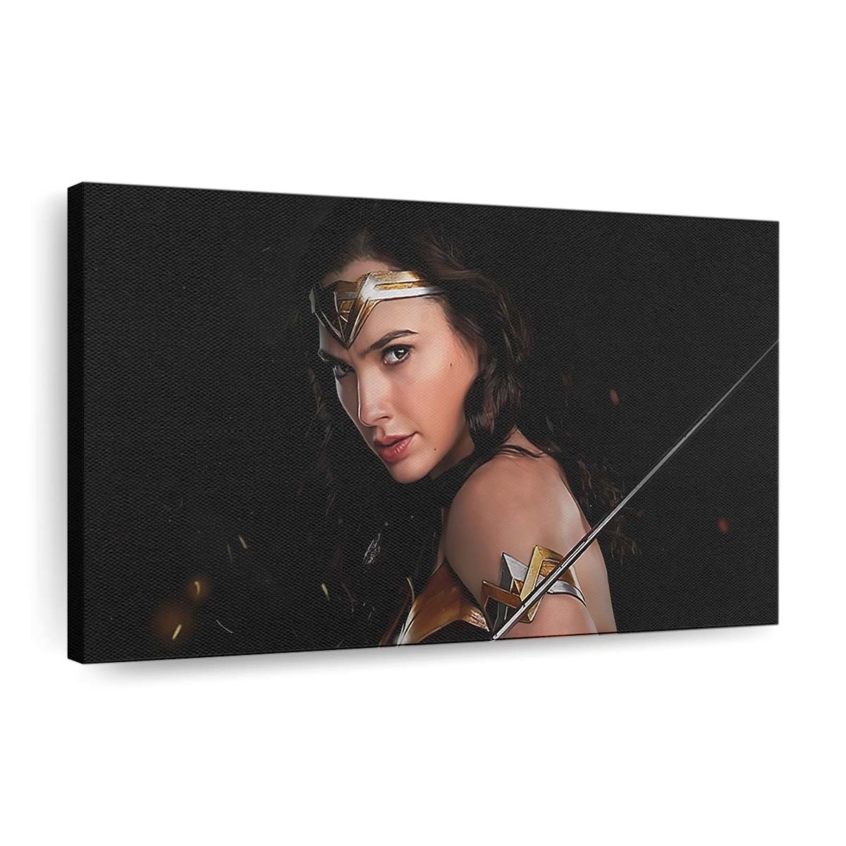 Wonder Woman84 Galgadot Fanart Leinwandbilder | Wanddeko