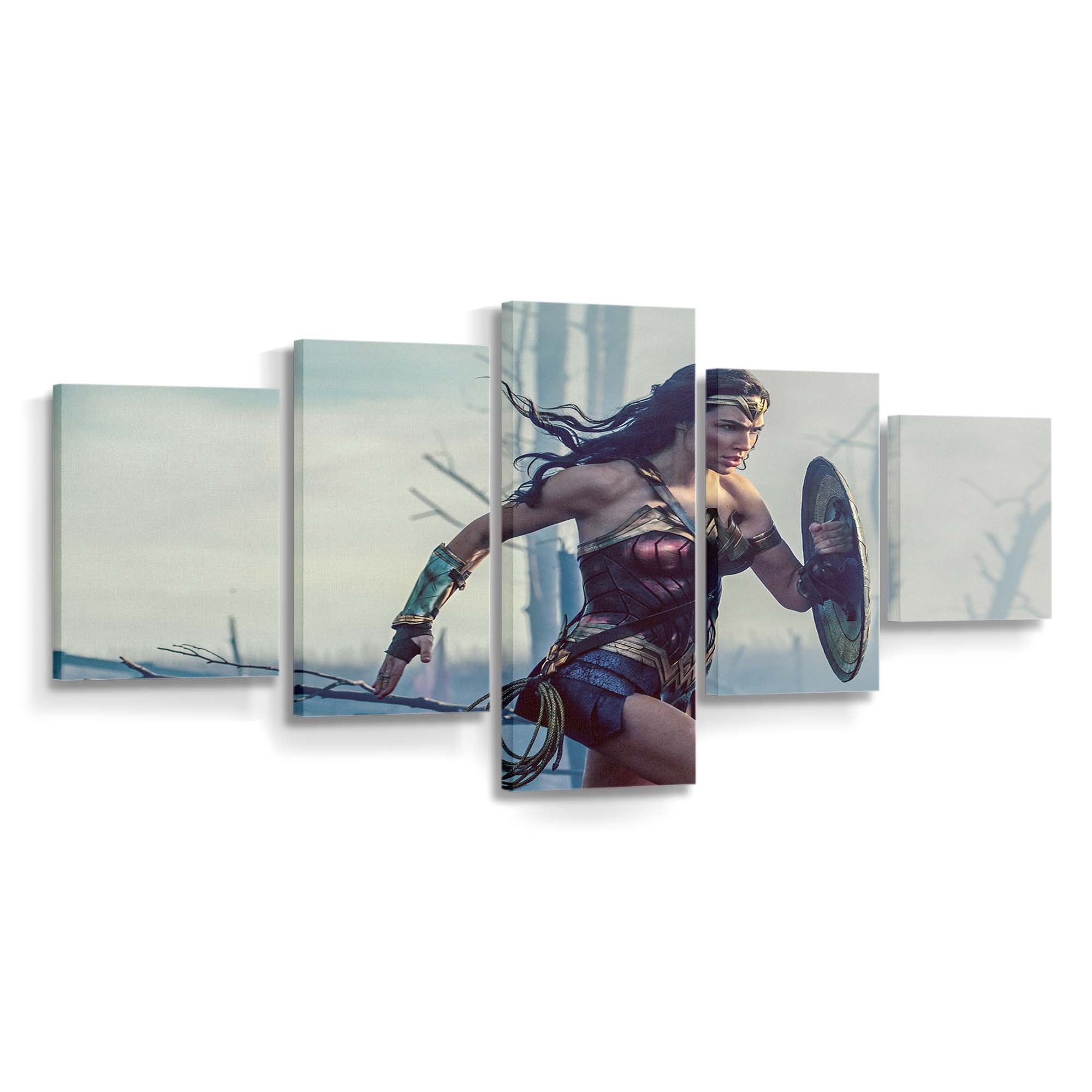 2017 Wonder Woman Leinwandbilder | Wanddeko 2017 Wonder Woman Leinwandbilder | Wanddeko