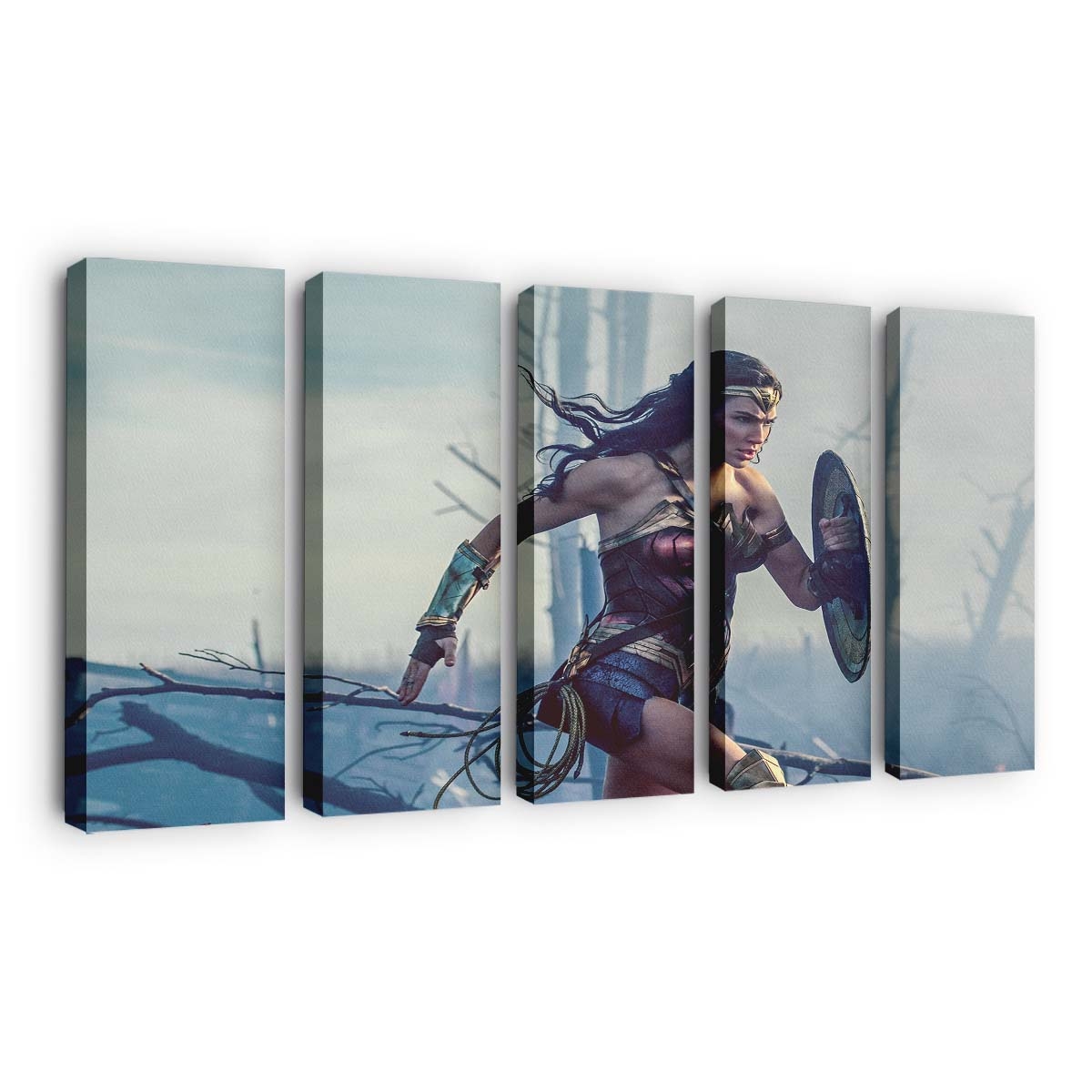 2017 Wonder Woman Leinwandbilder | Wanddeko