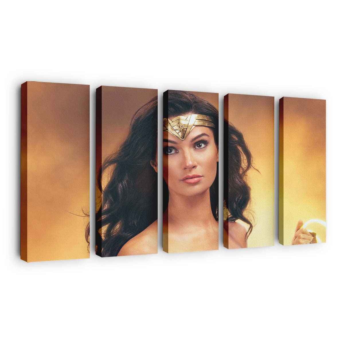 Wonder Woman With Lasso Leinwandbilder | Wanddeko