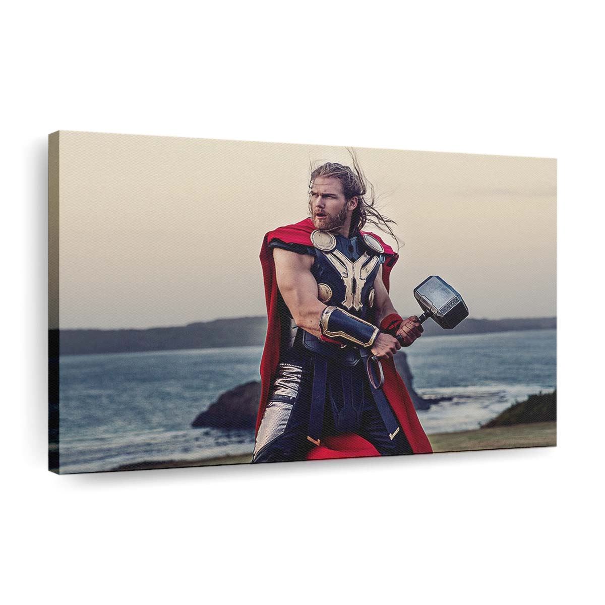 Thor Cosplay Leinwandbilder | Wanddeko