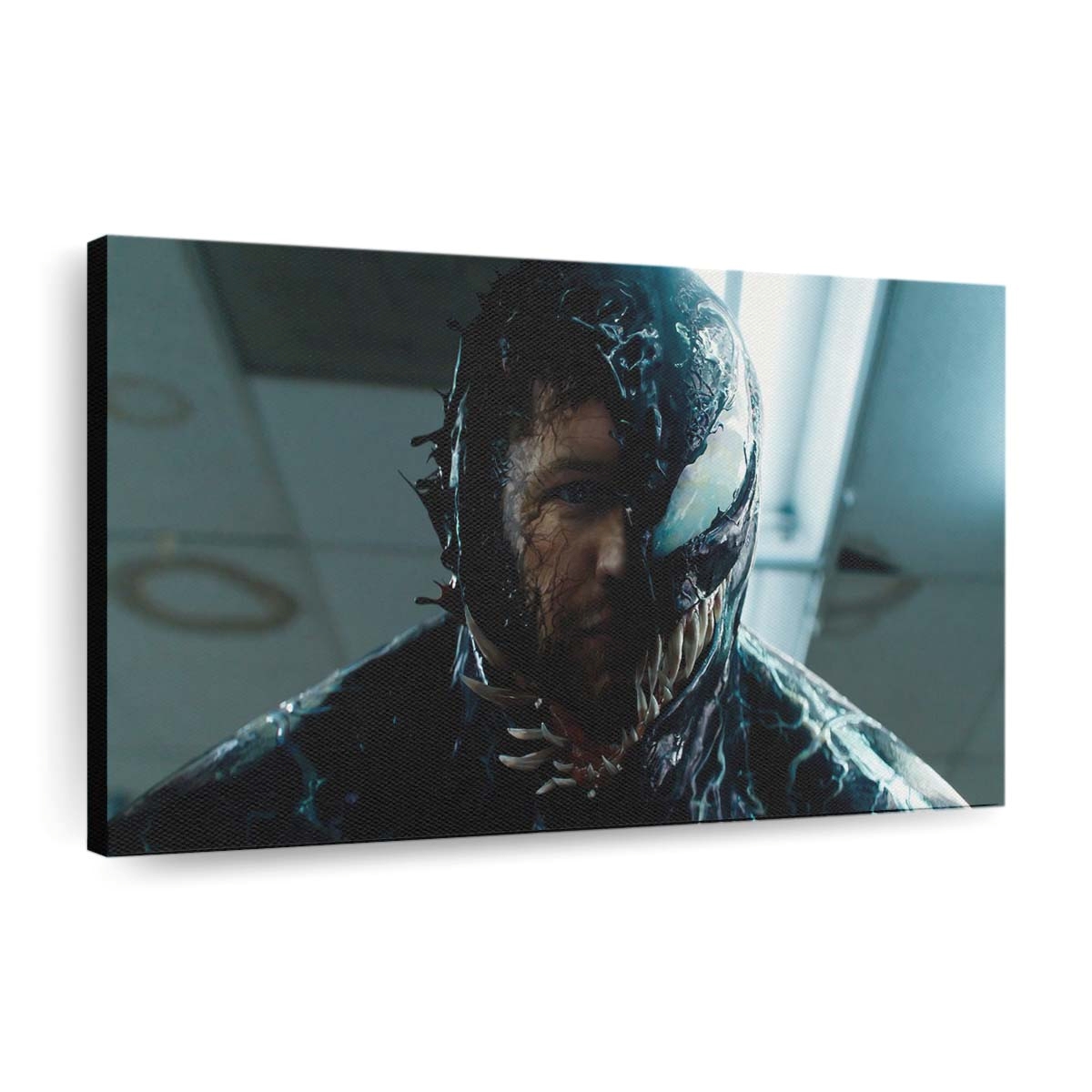 Venom Movie Leinwandbilder | Wanddeko