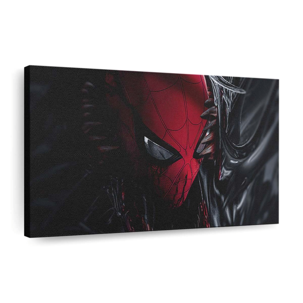 Venom Into Spiderman Leinwandbilder | Wanddeko